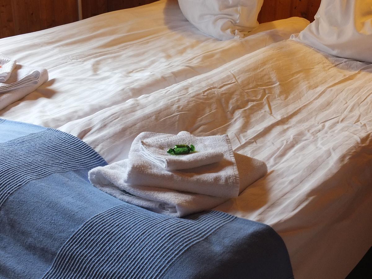 Apartment Nethra-Vatnshorn Hvammstangi Zewnętrze zdjęcie